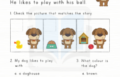 Reading Comprehension Grade 1 English Created Resources