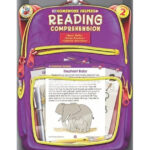 Reading Comprehension Grade 2 By Frank Schaffer Publications