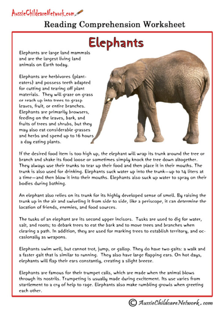 Elephants Reading Comprehension Worksheet