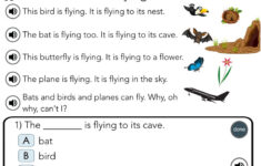 Reading Comprehension Level D By Anne Gardner