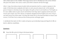 Reading Comprehension Life Cycle Of A Frog Questions