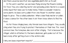 Reading Comprehension Passages With Questions Classroom Freebies
