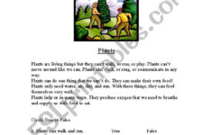 Reading Comprehension Plants ESL Worksheet By Dingmanellen