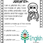 Reading Comprehension Sea Animals Lesson Planned Free And Premium