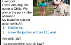 Reading Comprehension Wh Questions Worksheet