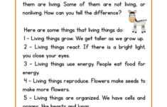 Reading Comprehension Worksheet Living Nonliving Science Reading
