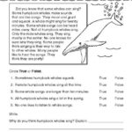 Reading Comprehension Worksheet Nonfiction Whales 8th Grade Reading