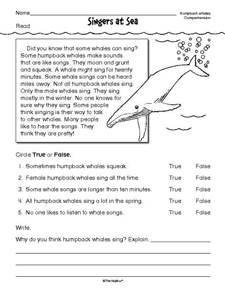 Reading Comprehension Worksheet Nonfiction Whales 8th Grade Reading 