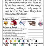 Reading Comprehension Worksheets Drago The Dragonfly