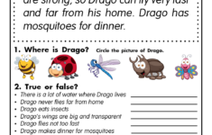 Reading Comprehension Worksheets Drago The Dragonfly