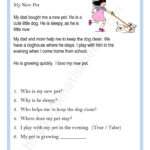 Reading Comprehension Worksheets For 2nd Grade English ESL
