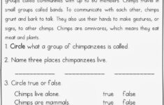 Reading Comprehension Worksheets High Interest Low Level Can You Tell