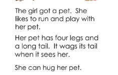 Reading Level D Interactive Worksheet