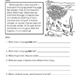 Reading Worksheet Comprehension Frogs The Mailbox Reading