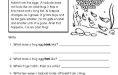 Reading Worksheet Comprehension frogs The Mailbox Reading