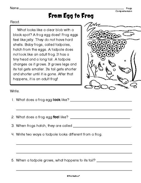 Reading Worksheet Comprehension frogs The Mailbox Reading 