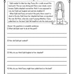 Second Grade Reading Comprehension Passages And Questions FREE SAMPLE