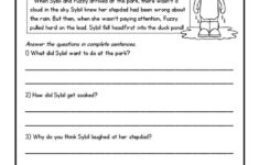 Second Grade Reading Comprehension Passages And Questions FREE SAMPLE