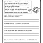 Second Grade Reading Comprehension Passages And Questions FREE SAMPLE