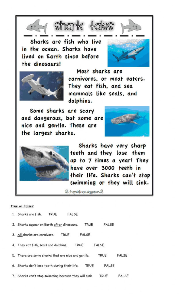 Sharks Exercise Reading Comprehension Worksheets