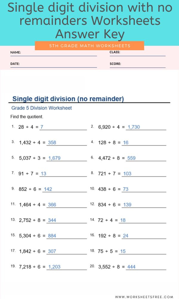Single Digit Division With No Remainders Worksheets For Grade 5 Answer 