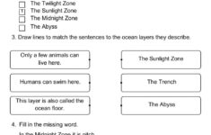 The Ocean Reading Comprehension Worksheet