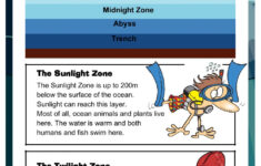 The Ocean Reading Comprehension Worksheet