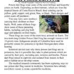 The Poison Dart Frog Reading Comprehension Worksheet Have Fun Teaching