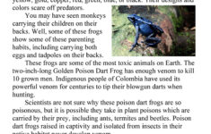 The Poison Dart Frog Reading Comprehension Worksheet Have Fun Teaching