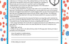 Third Grade Reading Comprehension Passages And Questions FREE SAMPLE