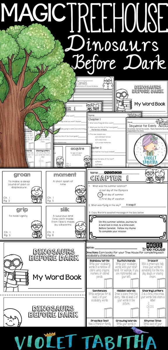 magic-tree-house-reading-comprehension-worksheets-printable-reading