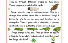 This Reading Comprehension Worksheet Life Cycles Is For Teaching