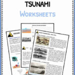 Tsunami Facts Worksheets Historical Information For Kids