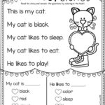 Valentine S Reading Comprehension Tons Of ELA Math Activities ALL W