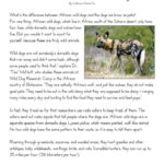 What S Wild About African Dogs Reading Comprehension Worksheet