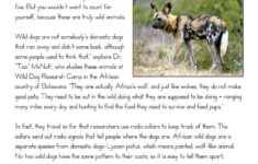 What s Wild About African Dogs Reading Comprehension Worksheet