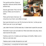 702 Beginner English Reading Comprehension Worksheets   Grammarism Regarding Reading Comprehension Worksheets For Beginners