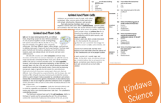 Animal And Plant Cells Reading Comprehension Passage And Questions regarding Plant and Animal Cells Reading Comprehension Worksheet