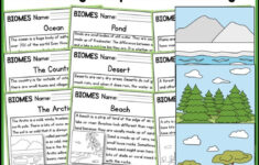 Biomes Reading Comprehension Passages | K-2 | Homeschool | Social for Biomes Reading Comprehension Worksheets