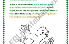 Birds- Reading Comprehension - Esl Worksheetkineshamolinab intended for Birds Reading Comprehension Worksheets