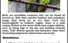 Birds Reading Comprehension Worksheet For Grade 2 for Birds Reading Comprehension Worksheets