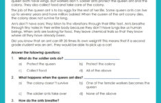 Comprehension Passage For Grade 4 | Grade1To6 throughout Reading Comprehension Worksheets For Grade 4