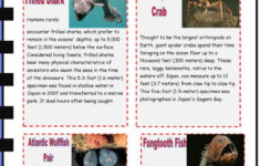 Deep Sea Creature Reading For Detail…: English Esl Worksheets Pdf within Ocean Animals Reading Comprehension Worksheets