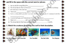 Exploring Oceans: Great Barrier Reef - Esl Worksheetkimto within Coral Reef Reading Comprehension Worksheets