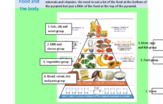 Food Pyramid Word Worksheet - Clil- Science - Reading regarding Food Pyramid Reading Comprehension Worksheet