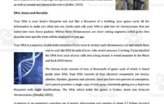 Genetics And Gene Therapy Reading Comprehension Articleteach in Genetics Reading Comprehension Worksheet
