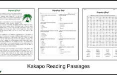 Geography Of Brazil Reading Comprehension And Word Search with regard to Brazil Reading Comprehension Worksheet