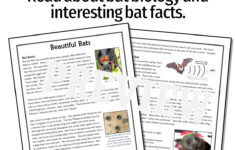 Halloween Science: Bats Reading Comprehension Passage - Flying regarding Bat Reading Comprehension Worksheet