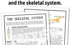 Halloween Science Reading Passage: Skeletal System And Bones with Skeleton Reading Comprehension Worksheet
