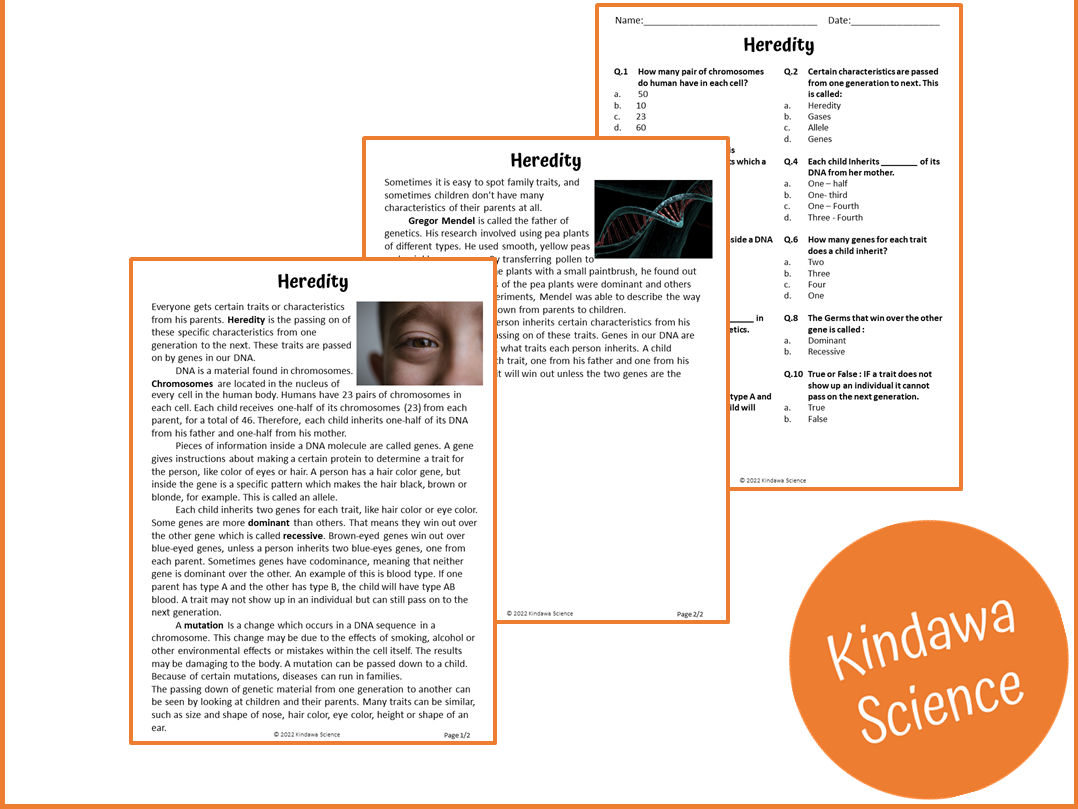 Heredity Reading Comprehension Passage And Questions - Pdf with regard to Genetics Reading Comprehension Worksheet